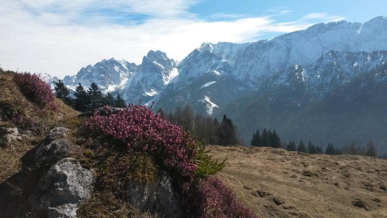 Apartament Haus Tirol Thiersee Zewnętrze zdjęcie